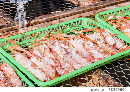 あかざえびの写真素材