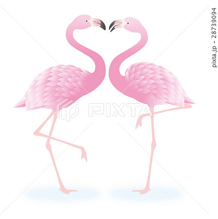 フラミンゴ 鳥 ハート 愛のイラスト素材 フラミンゴ 鳥 ハート 愛のイラスト素材