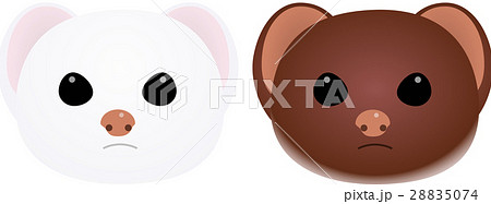 鼬のイラスト素材