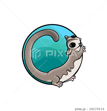 フクロモモンガ かわいいのイラスト素材