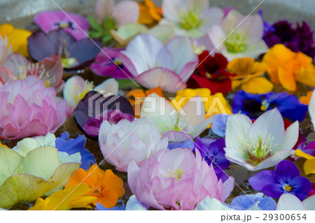 浮かせ花の写真素材