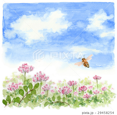 蓮華のイラスト素材