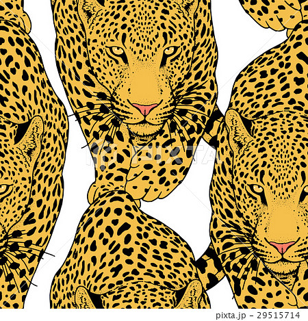 動物 ヒョウ 豹 イラストのイラスト素材