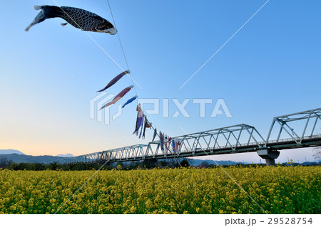 小布施橋の写真素材