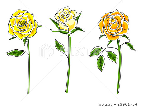 薔薇の花 美しい 一輪 バラのイラスト素材