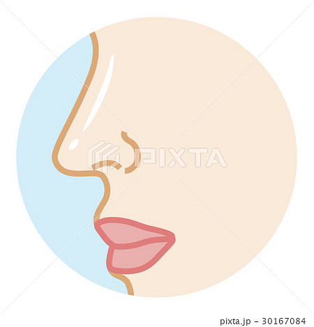 ベクター 鼻 横顔 ボディパーツのイラスト素材 Pixta