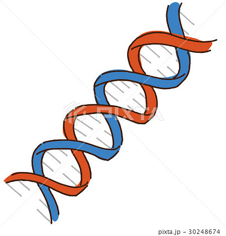 遺伝子情報のイラスト素材