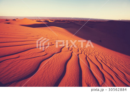 きれい 美しい 砂漠 乾燥の写真素材