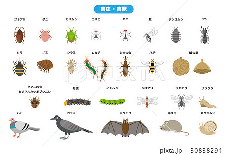 害虫駆除のイラスト素材