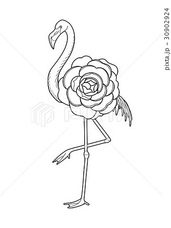 フラミンゴ かわいいのイラスト素材