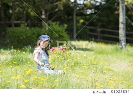 お花畑に座る女の子の写真素材