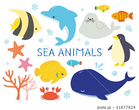 海 生き物 セット イラストのイラスト素材