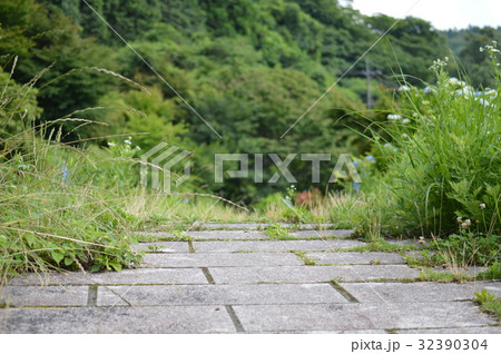 水の口湧水 湧水 名水 湧き水の写真素材