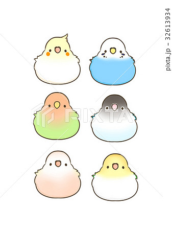 オカメインコのイラスト素材 Pixta