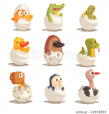 かめ カメ 生まれたて たまごのイラスト素材