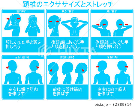 関節可動域訓練のイラスト素材