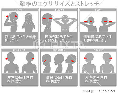 関節可動域訓練のイラスト素材