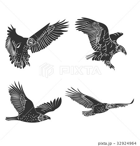 Eagle And Falcon Silhouettes Set のイラスト素材 32924964 Pixta