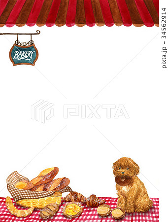 パン トイプードル 犬 パン屋の写真素材
