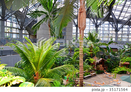 天井 ドーム 植物園 温室の写真素材