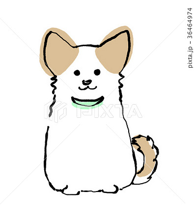 Chihuahua Illustrations