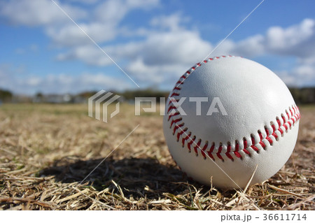 野球ボール 青空 芝生 縫い目の写真素材 野球ボール 青空 芝生 縫い目の写真素材