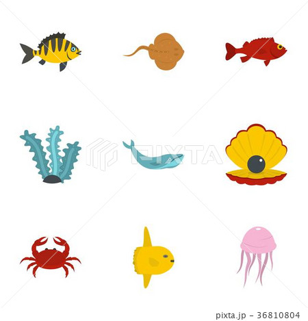 タコ漁 可愛い イラスト キャラクター 魚 水族館 サカナ たこの写真素材
