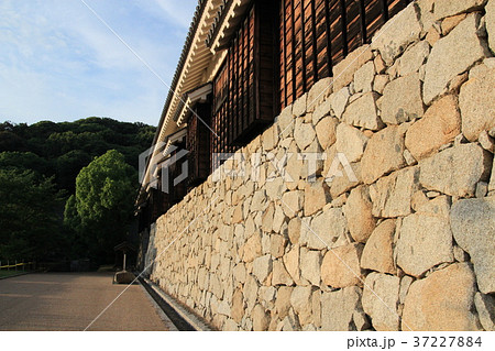 夕日 松山城 松山 松山市の写真素材 - PIXTA