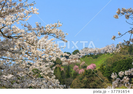 三刀屋城の写真素材