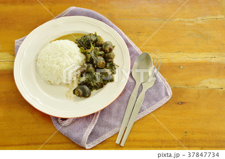 タニシ 食 料理 食べ物の写真素材
