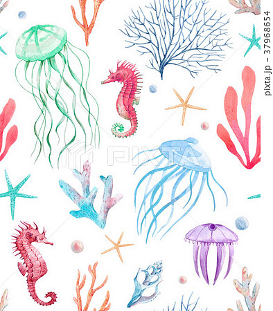50 素晴らしいおしゃれ 海 貝殻 イラスト ただのディズニー画像