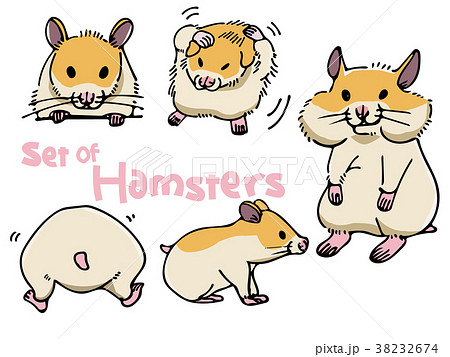 ハムスター 小動物 動物 横顔のイラスト素材