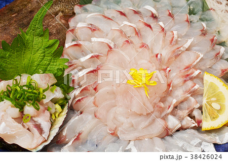 刺身 コチ 姿作り 白身魚の写真素材