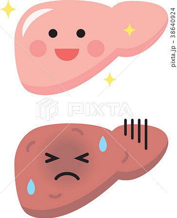 健康な肝臓と病気の肝臓のイラスト素材 38640924 Pixta