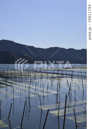 海苔ひびの写真素材