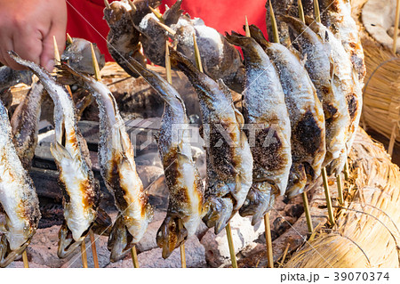 魚 塩焼き 串焼き ニジマスの写真素材