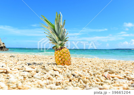 パイナップル 夏 沖縄 海の写真素材