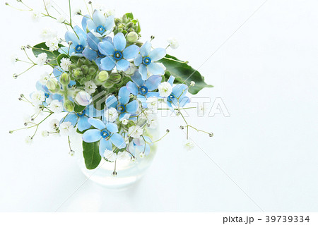 ブルースター 花 花束 フラワーアレンジメントの写真素材