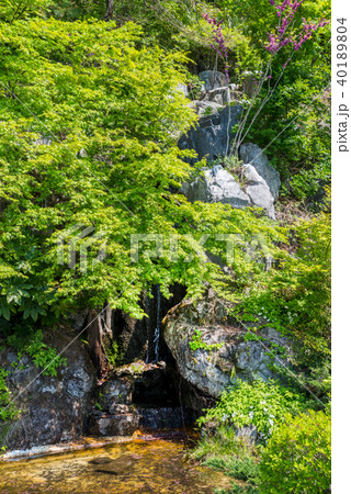 牧水の滝の写真素材