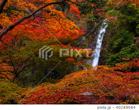 滝 布引の滝 秋 紅葉の写真素材