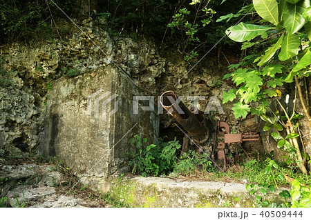 大砲 グアム 旧日本軍 戦争遺跡の写真素材