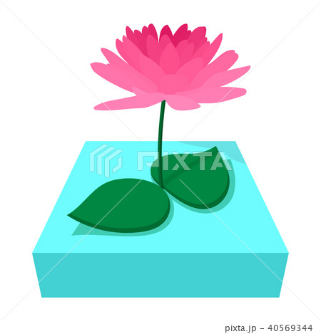 Lotus Vectors - PIXTA Lotus Vectors - PIXTA
