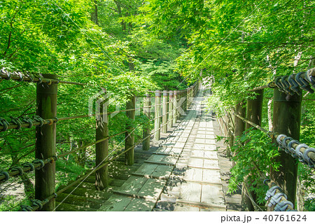 花園花貫県立自然公園の写真素材