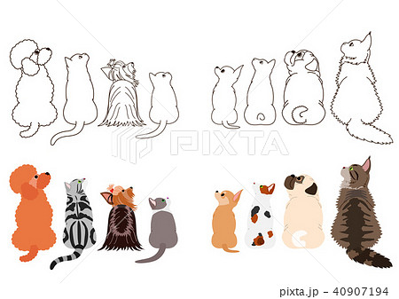 マンチカンのイラスト素材