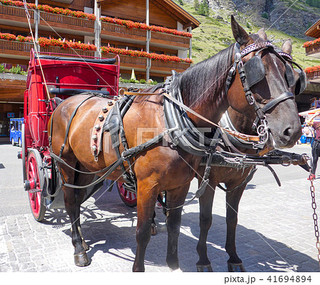 ２頭立て馬車の写真素材