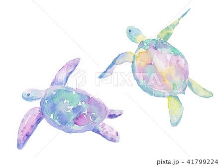 ウミガメの水彩イラストのイラスト素材 41799224 Pixta