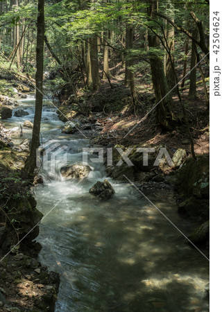 河川 森 川 forestの写真素材 - PIXTA