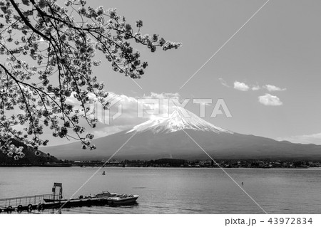 湖 富士山 モノクロ 自然 風景の写真素材