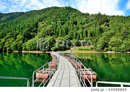 留浦 うずら 浮橋 浮き橋の写真素材