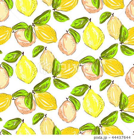 フルーツ 壁紙 果物 パターンの写真素材